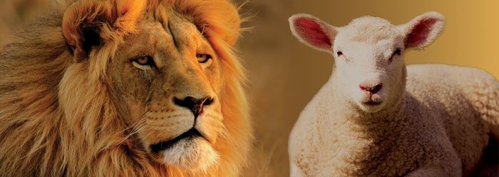 Lion and lamb side by side, symbolizing predator vs. prey mentality in martial arts and self-defense training.