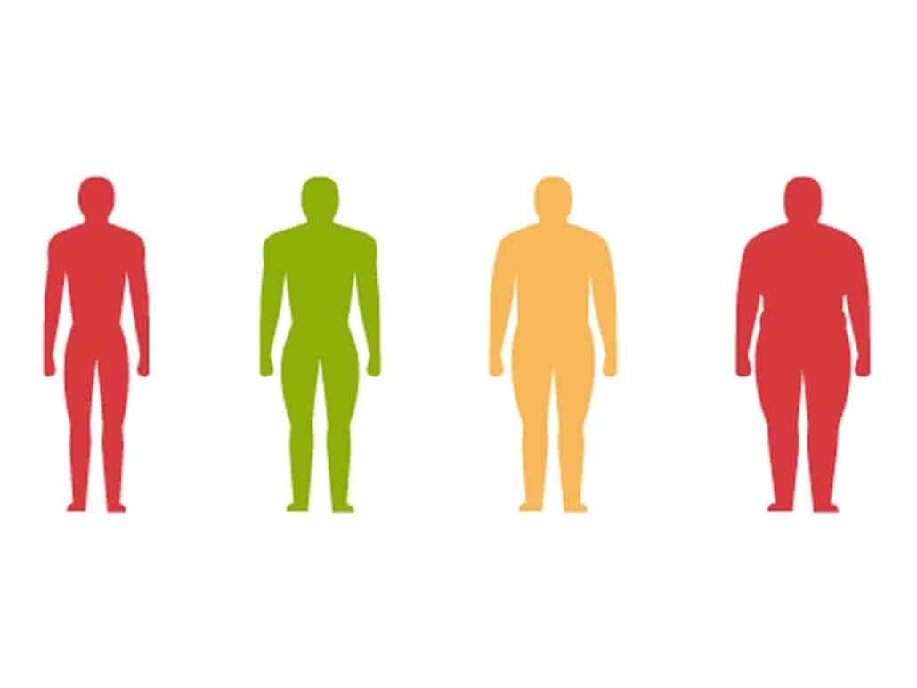 Illustration of four human figures in red, green, and orange, representing various body types and fitness levels, symbolizing the concept of metabolism and caloric burn in fitness and martial arts training.